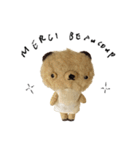 Anano Bear : punco（個別スタンプ：13）
