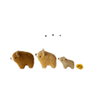 Anano Bear : punco（個別スタンプ：14）