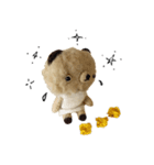 Anano Bear : punco（個別スタンプ：15）
