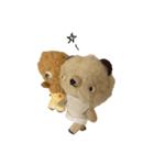 Anano Bear : punco（個別スタンプ：16）