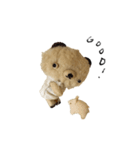 Anano Bear : punco（個別スタンプ：17）