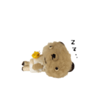 Anano Bear : punco（個別スタンプ：20）