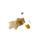 Anano Bear : punco（個別スタンプ：21）