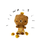 Anano Bear : pocco（個別スタンプ：6）