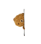 Anano Bear : pocco（個別スタンプ：7）