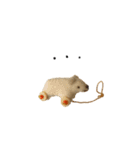 Anano Bear : pocco（個別スタンプ：15）