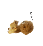 Anano Bear : pocco（個別スタンプ：16）