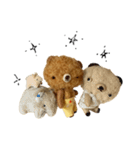 Anano Bear : pocco（個別スタンプ：24）