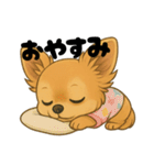 チワワちゃんの日常《毎日使い》（個別スタンプ：4）