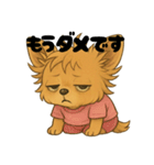 チワワちゃんの日常《毎日使い》（個別スタンプ：33）