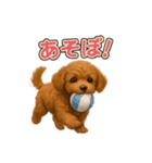 子イヌverトイプードル（個別スタンプ：11）