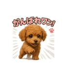 子イヌverトイプードル（個別スタンプ：15）