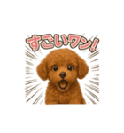 子イヌverトイプードル（個別スタンプ：21）