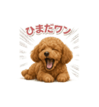 子イヌverトイプードル（個別スタンプ：25）