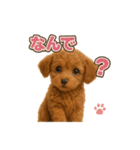子イヌverトイプードル（個別スタンプ：30）