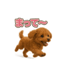 子イヌverトイプードル（個別スタンプ：31）