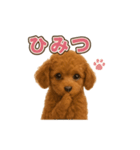 子イヌverトイプードル（個別スタンプ：32）