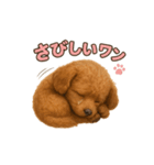 子イヌverトイプードル（個別スタンプ：33）
