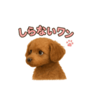子イヌverトイプードル（個別スタンプ：34）
