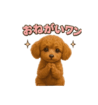 子イヌverトイプードル（個別スタンプ：37）