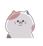 むっちりしたねこ（個別スタンプ：11）