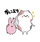むっちりしたねこ（個別スタンプ：20）