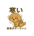 ポンちゃんシリーズ①（個別スタンプ：5）