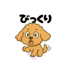 ポンちゃんシリーズ①（個別スタンプ：13）