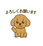 ポンちゃんシリーズ①（個別スタンプ：16）