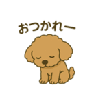 ポンちゃんシリーズ①（個別スタンプ：17）