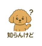 ポンちゃんシリーズ①（個別スタンプ：23）