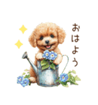夏だよ！トイプードルの夏スタンプ（個別スタンプ：1）