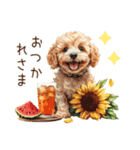 夏だよ！トイプードルの夏スタンプ（個別スタンプ：3）