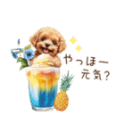 夏だよ！トイプードルの夏スタンプ（個別スタンプ：5）