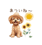 夏だよ！トイプードルの夏スタンプ（個別スタンプ：7）