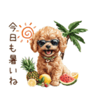 夏だよ！トイプードルの夏スタンプ（個別スタンプ：8）