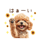 夏だよ！トイプードルの夏スタンプ（個別スタンプ：11）