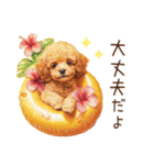 夏だよ！トイプードルの夏スタンプ（個別スタンプ：12）