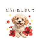 夏だよ！トイプードルの夏スタンプ（個別スタンプ：14）