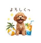 夏だよ！トイプードルの夏スタンプ（個別スタンプ：16）