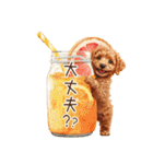 夏だよ！トイプードルの夏スタンプ（個別スタンプ：17）