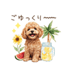 夏だよ！トイプードルの夏スタンプ（個別スタンプ：20）