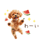 夏だよ！トイプードルの夏スタンプ（個別スタンプ：23）