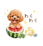 夏だよ！トイプードルの夏スタンプ（個別スタンプ：24）