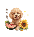 夏だよ！トイプードルの夏スタンプ（個別スタンプ：25）