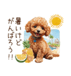 夏だよ！トイプードルの夏スタンプ（個別スタンプ：27）
