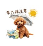 夏だよ！トイプードルの夏スタンプ（個別スタンプ：28）