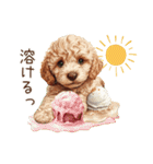 夏だよ！トイプードルの夏スタンプ（個別スタンプ：31）