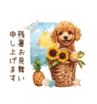 夏だよ！トイプードルの夏スタンプ（個別スタンプ：34）