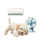 夏だよ！トイプードルの夏スタンプ（個別スタンプ：36）